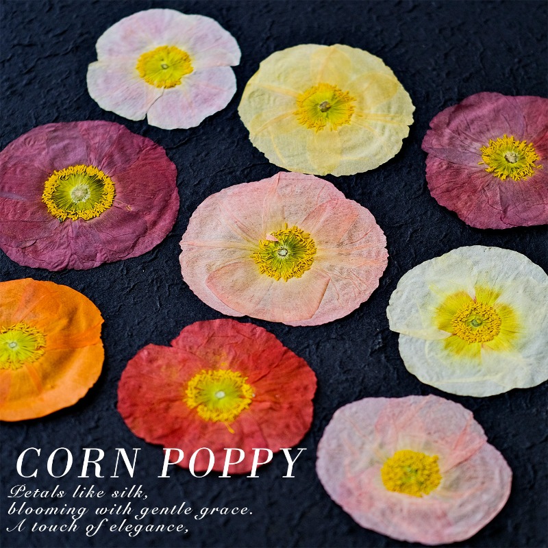 1pcs,Nature Field Poppy Presse – обзор и цена Resin Art Frame