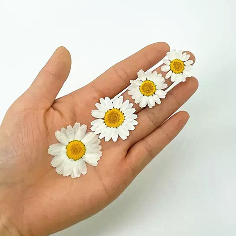 100Pcs Natural White Crystal C – обзор и цена Resin Art Phone Case