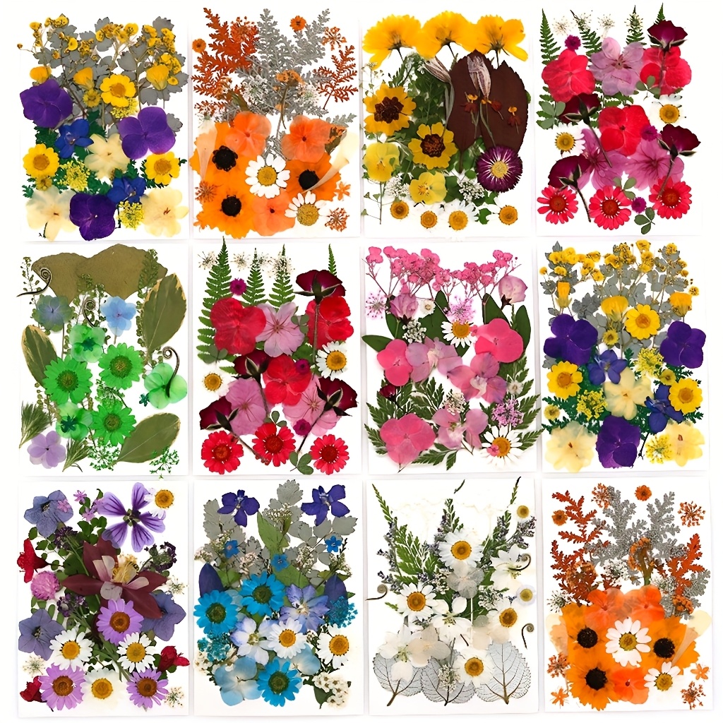 500pcs of Random Materials for – обзор и цена Resin Art Frame