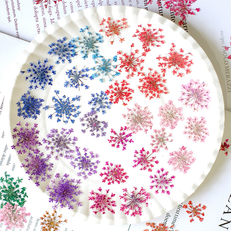24pcs,2-2.5cm,nature Dyed Mini – обзор и цена Resin Art Frame