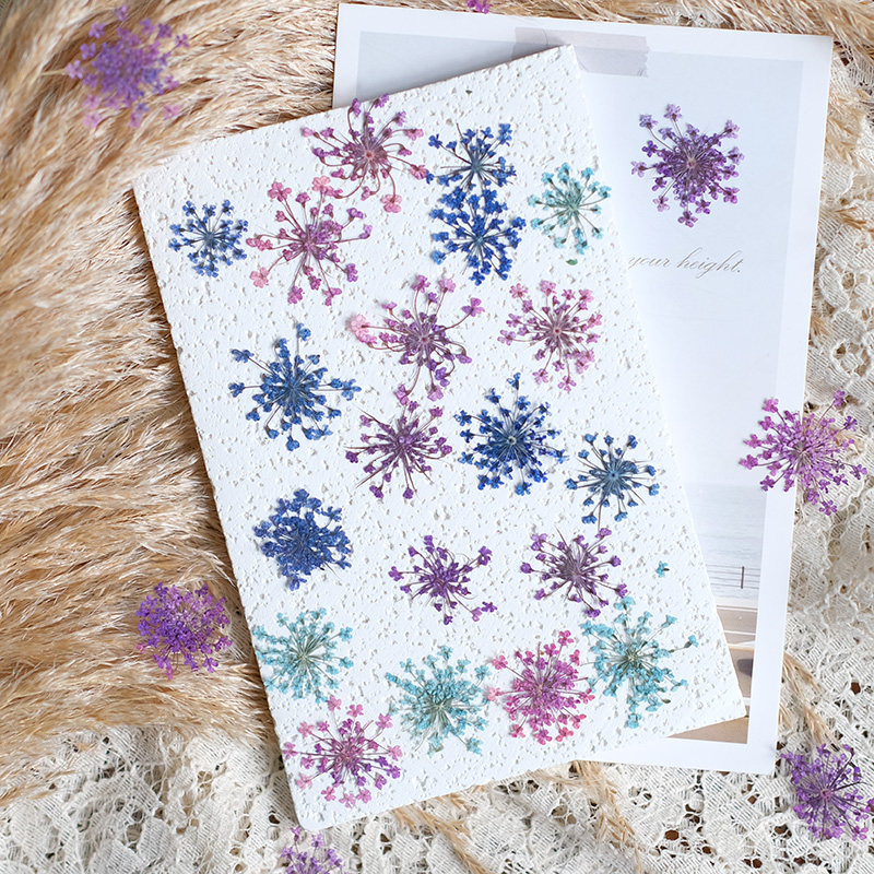 24pcs,2-2.5cm,nature Dyed Mini – обзор и цена Resin Art Frame